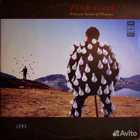 Пластинка Pink Floyd - Delicate sound of thunder