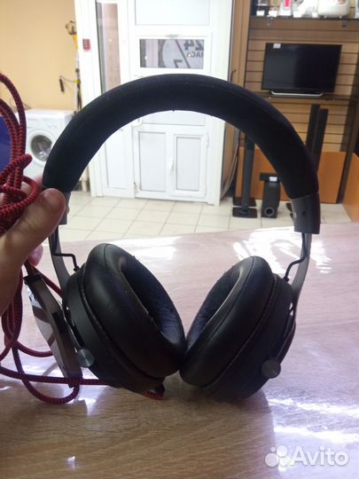 Radragon aspis pro (Г19)