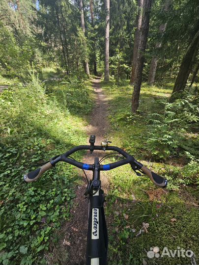 Велосипед Format 5223 650b