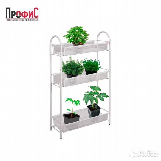 Ладья 13 (цвета)