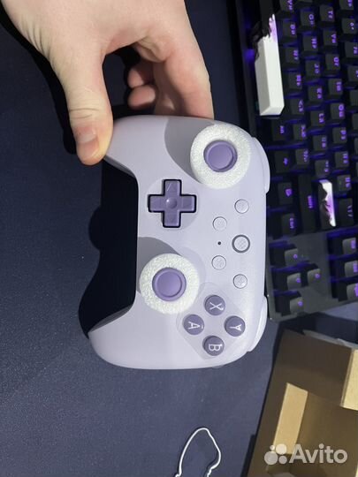 8bitdo ultimate 2c
