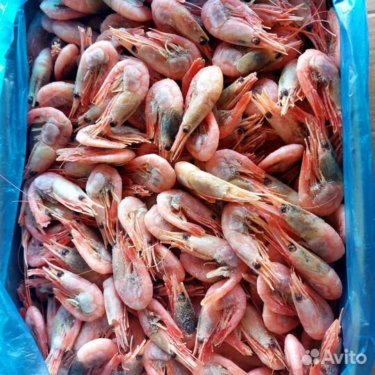 Морские деликатесы креветки, лангустины в Москве