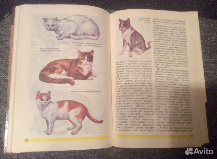 Книга о животных. Друзья нашего дома