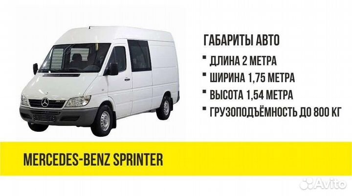 Грузоперевозки Беларусь- Россия-Беларусь