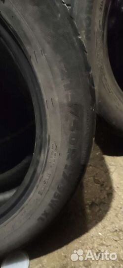 Nokian Tyres Nordman SZ 205/55 R17 95W