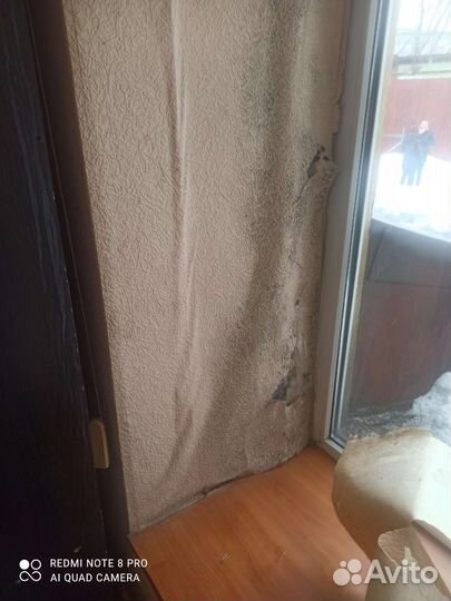 Уничтожение удаление обработка грибка плесени