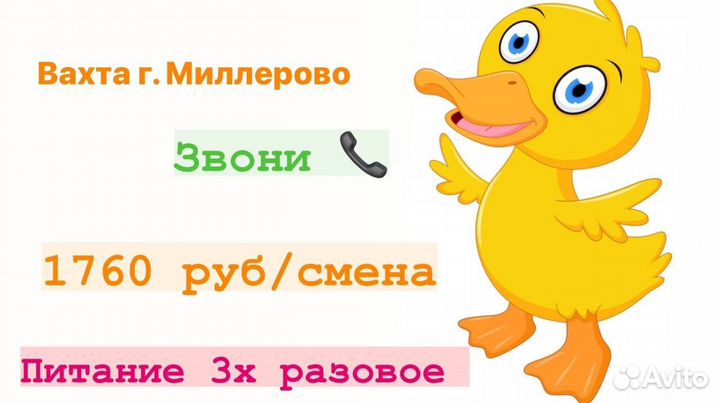 Упаковщики - разнорабочие. Вахта город Миллерово