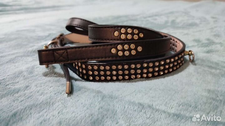 Ошейник + поводок для собаки