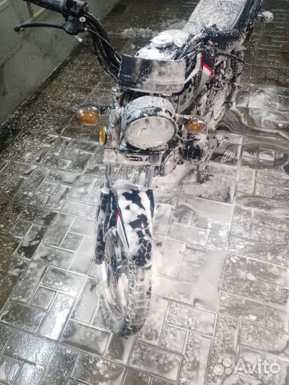 Альфа