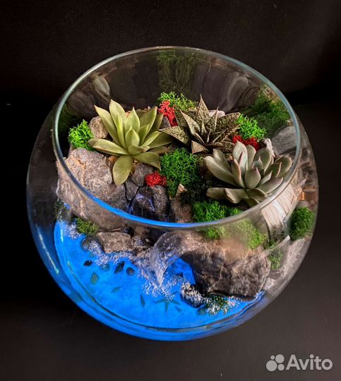 Флорариум Морской