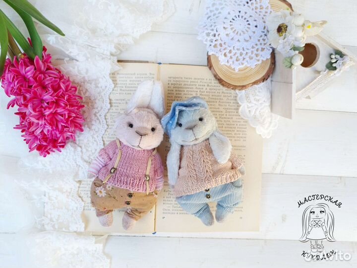 Зайчатки тедди