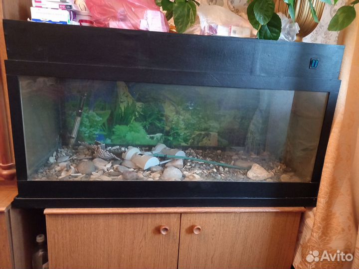 Аквариум
