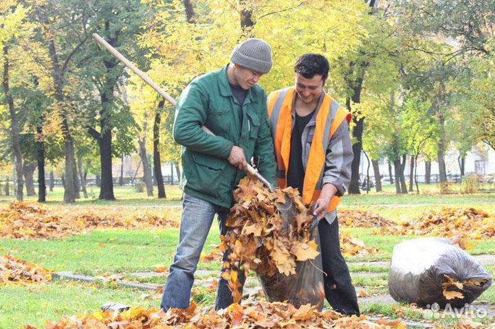 Услуги разнорабочих в городе Барнаул
