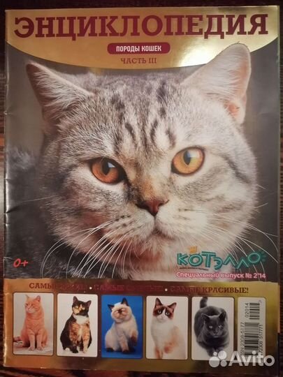 Новые журналы, раскраски, карточки