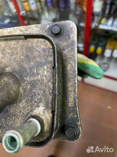 Маслоохладитель nissan T31 QR25DE