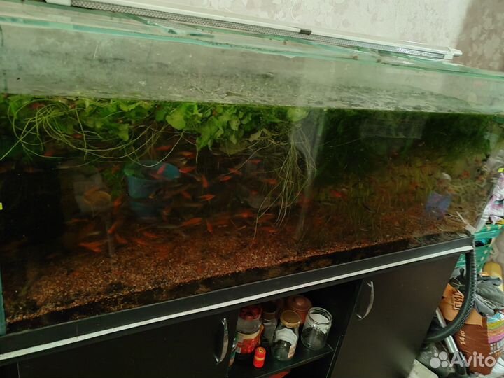 Аквариум с тумбой 390 литров