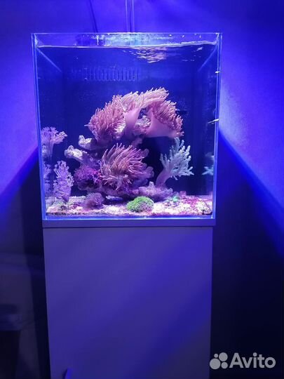 Морской аквариум комплект