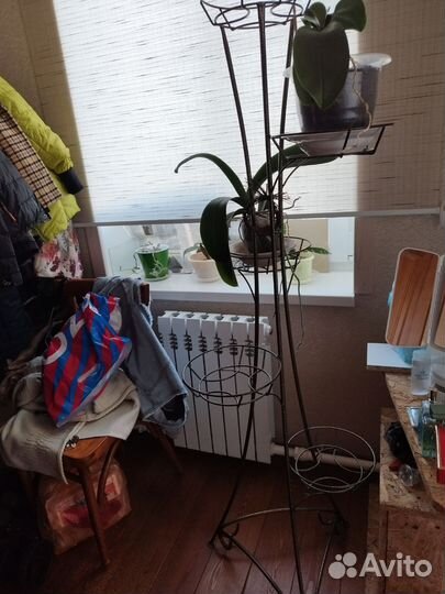 Полка для цветов