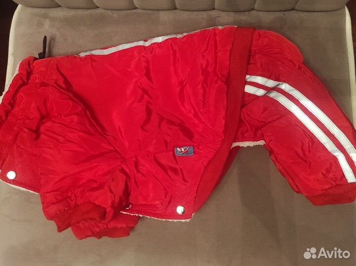 Зимний комбинезон для собаки средних пород