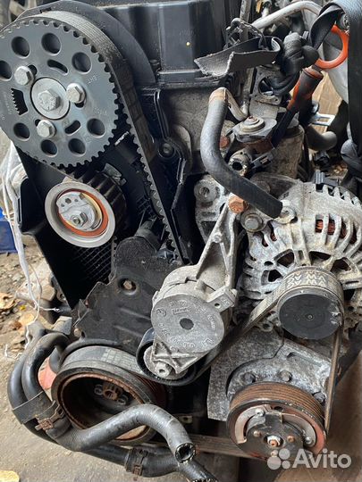 Двигатель Passat B6 1.9 2006-2007 BLS