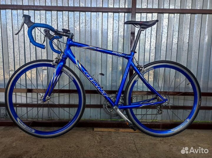 Giant OSR Special 28