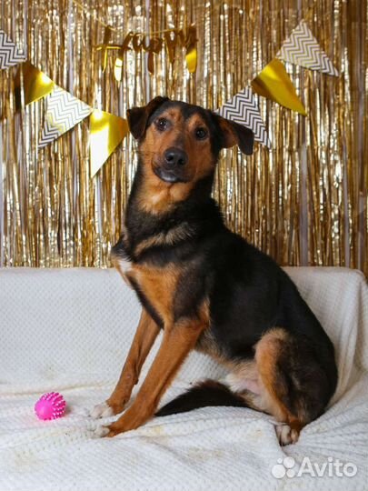 Кенай-робкий,но очень нежный