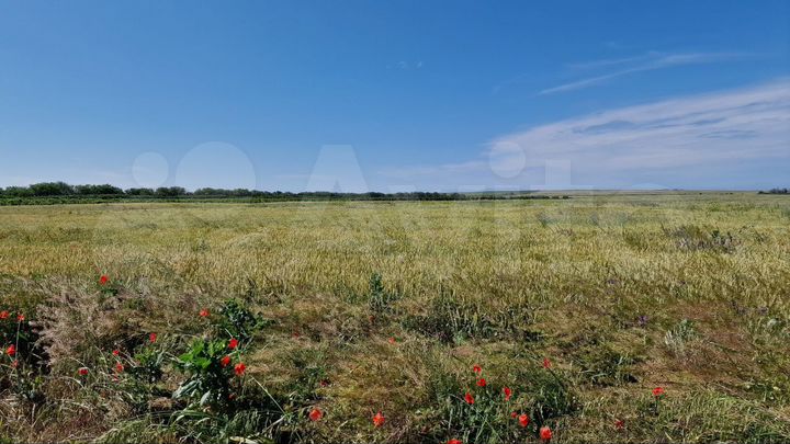 Участок 1,87 га (СНТ, ДНП)