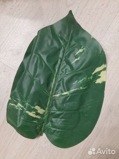 Ветки пальмы