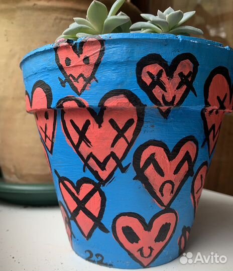 Эхеверия Валентина