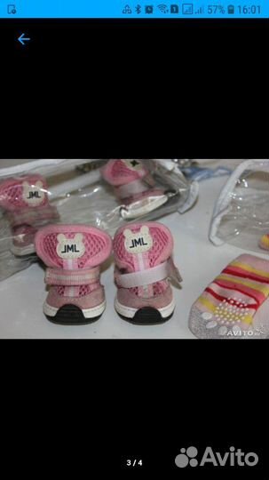 Кроссовки и носки для собак