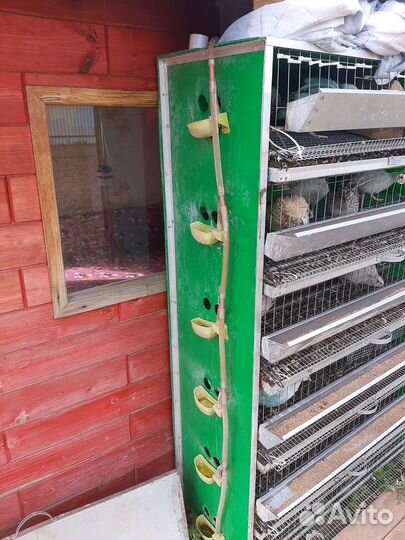 Клетка для перепелов