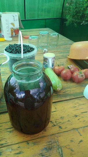 Дом 70 м² на участке 12 сот.