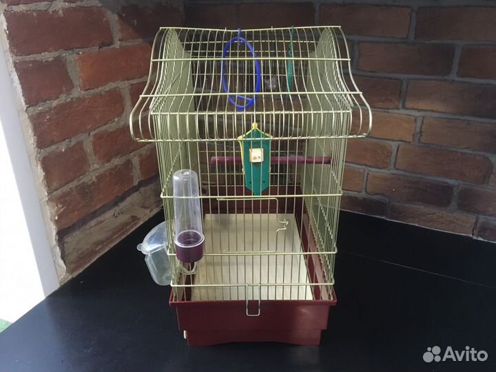 Клетка iMac Serena