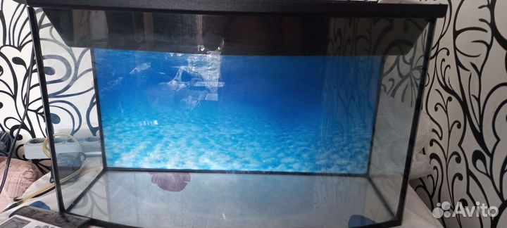 Аквариум