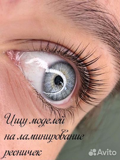 Окрашивание бровей и ламинирование ресничек