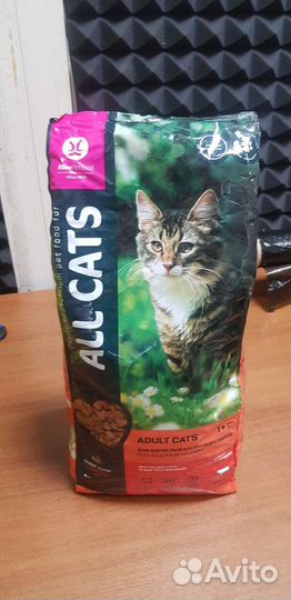 Корм для кошек all cats