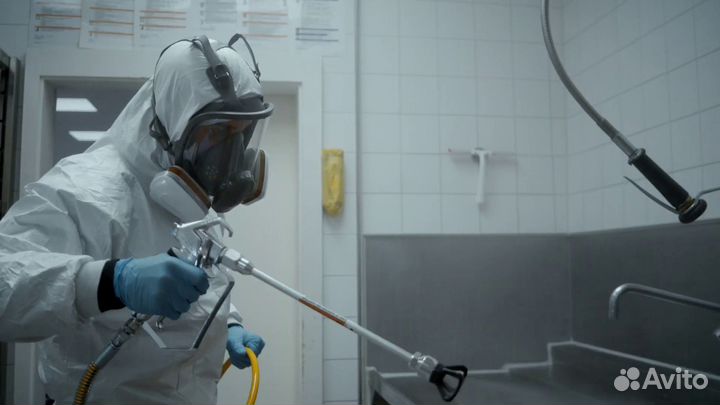 Уничтожение клопов тараканов блох мышей