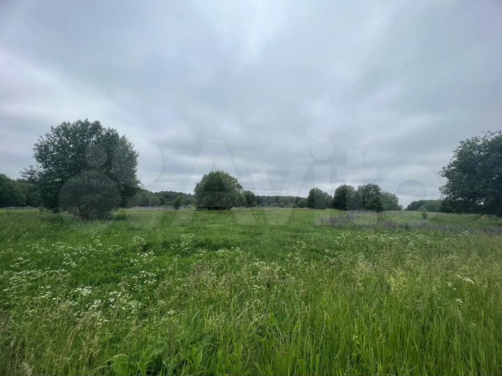 Участок 1,87 га (СНТ, ДНП)