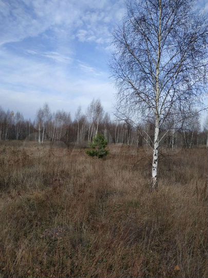Участок 53 га (СНТ, ДНП)