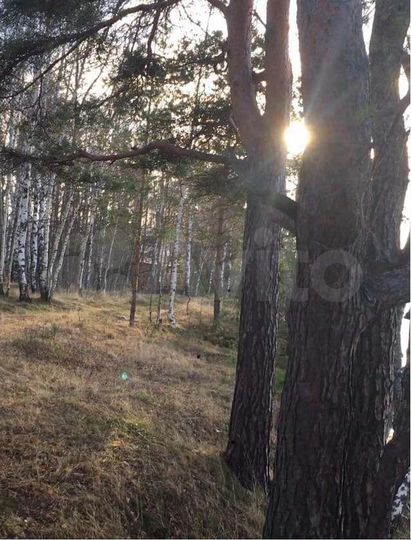 Участок 12 сот. (ИЖС)