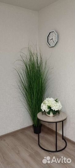 Осока искусственная высокая