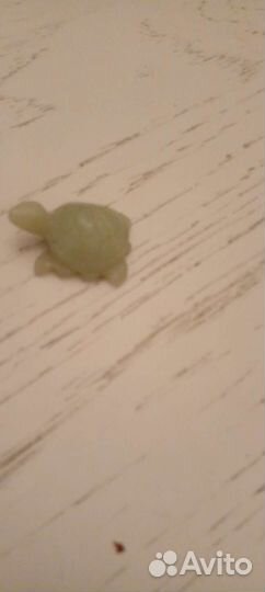 Черепашка нефрит