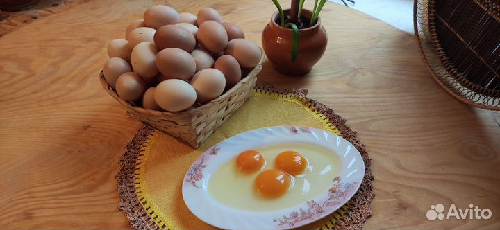 Домашние куриные яйца