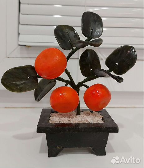 Мандариновое дерево