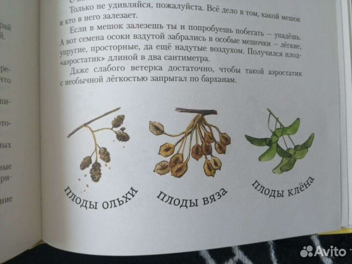 Н. Осипов. Без билета по белу свету