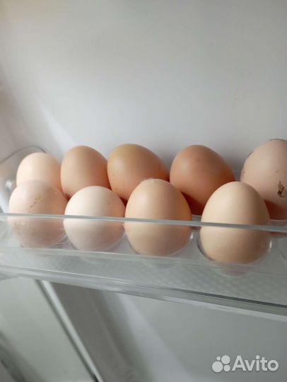 Домашние куриные яйца