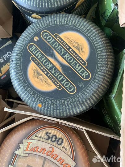 Сант агюр, козий фрико, ильчестры, хамоны