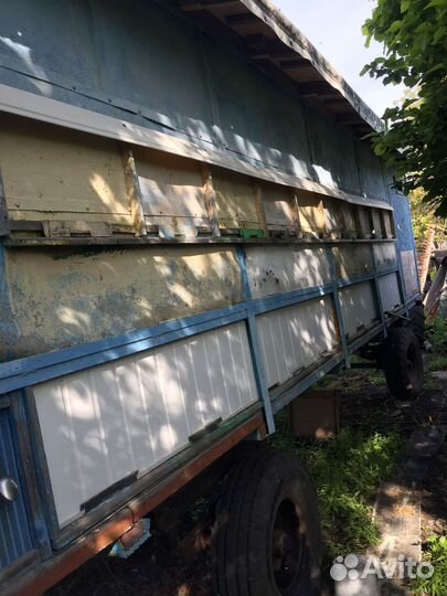 Пчелопавильон