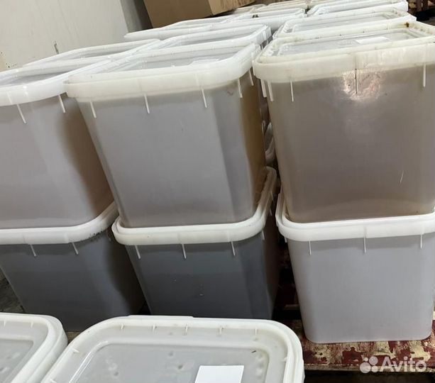 Мед оптом свежий горный