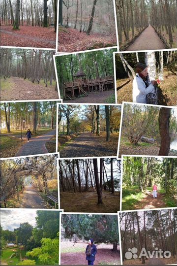 Экскурсии на Куршскую косу